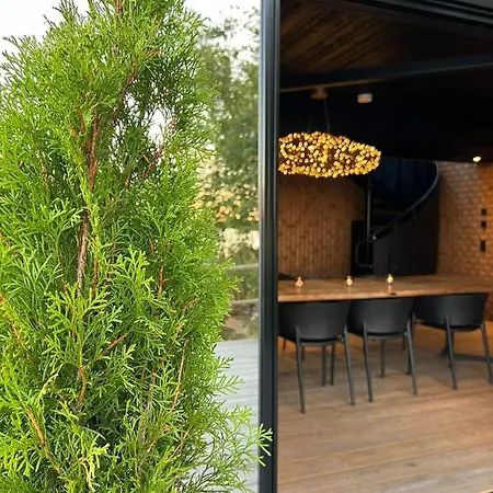 Lehmonkaerki - Haasi Mirror فندق Asikkala (Southern Finland)